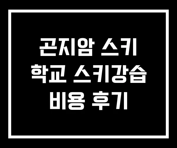 곤지암 스키 학교 스키강습 비용 후기 곤지암 스키 학교 스키강습 비용 후기