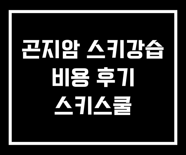 곤지암 스키강습 비용 후기 스키스쿨