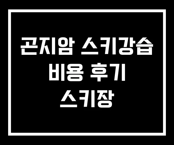 곤지암 스키강습 비용 후기 스키장 곤지암 스키강습 비용 후기 스키장