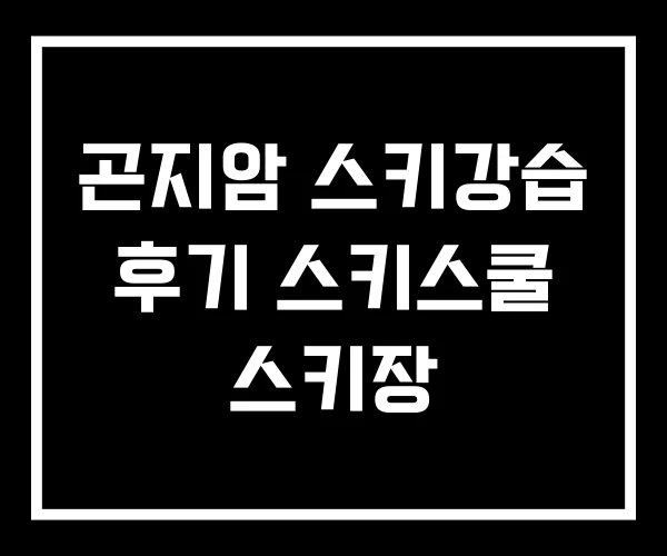 곤지암 스키강습 후기 스키스쿨 스키장 곤지암 스키강습 후기 스키스쿨 스키장