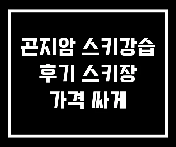 곤지암 스키강습 후기 스키장 가격 싸게