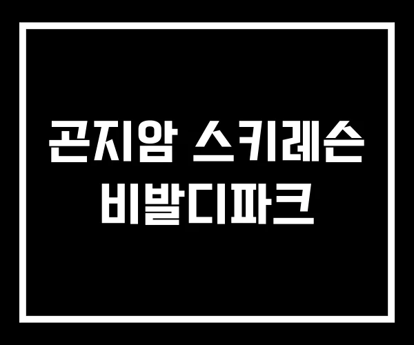 곤지암 스키레슨 비발디파크