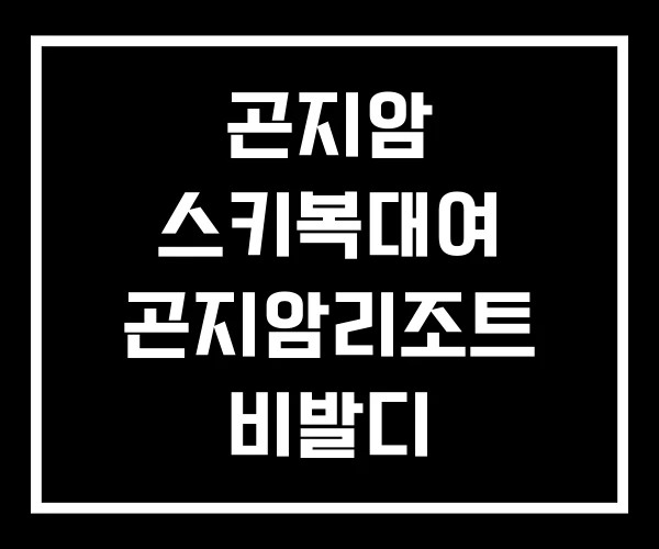 곤지암 스키복대여 곤지암리조트 비발디