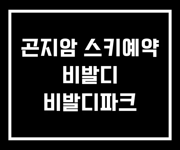 곤지암 스키예약 비발디 비발디파크