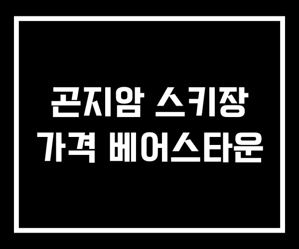 곤지암 스키장 가격 베어스타운 곤지암 스키장 가격 베어스타운
