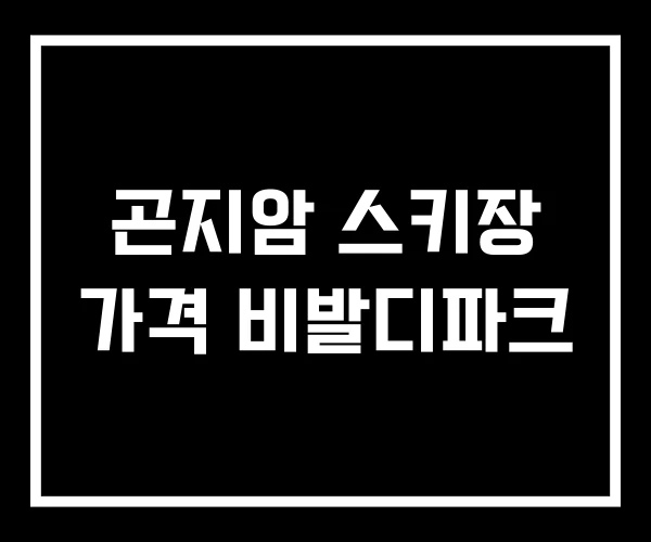 곤지암 스키장 가격 비발디파크 곤지암 스키장 가격 비발디파크