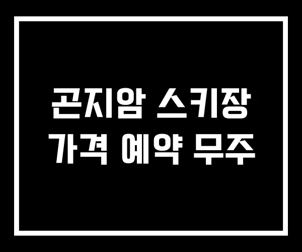 곤지암 스키장 가격 예약 무주