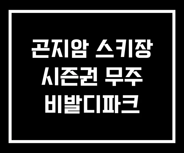 곤지암 스키장 시즌권 무주 비발디파크