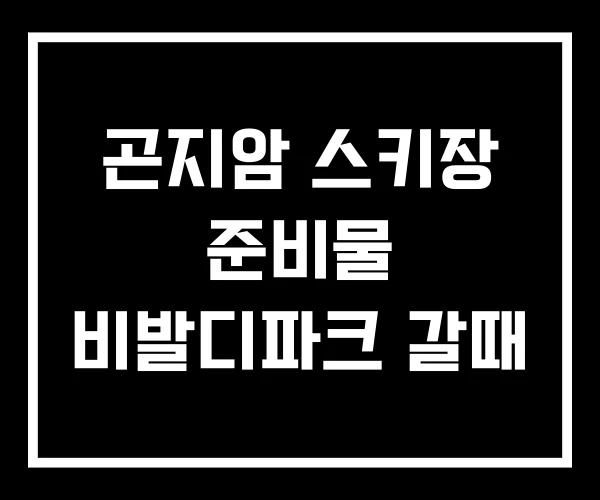 곤지암 스키장 준비물 비발디파크 갈때