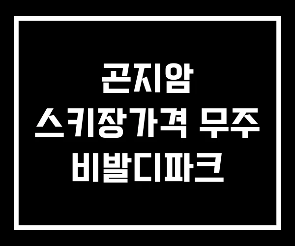 곤지암 스키장가격 무주 비발디파크