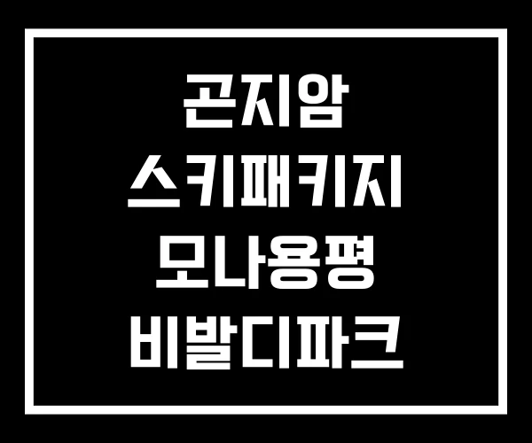 곤지암 스키패키지 모나용평 비발디파크