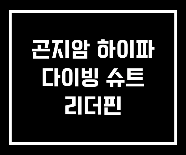 곤지암 하이파 다이빙 슈트 리더핀
