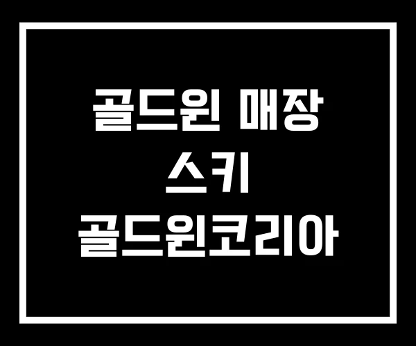 골드윈 매장 스키 골드윈코리아