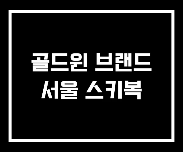 골드윈 브랜드 서울 스키복