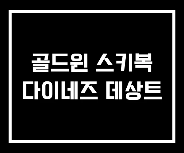 골드윈 스키복 다이네즈 데상트 골드윈 스키복 다이네즈 데상트