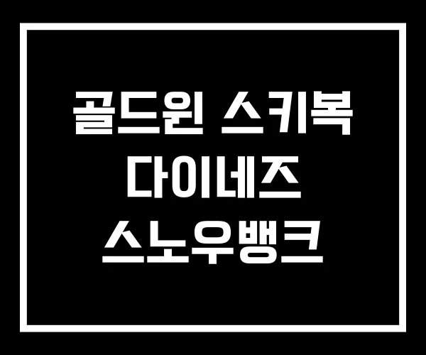 골드윈 스키복 다이네즈 스노우뱅크