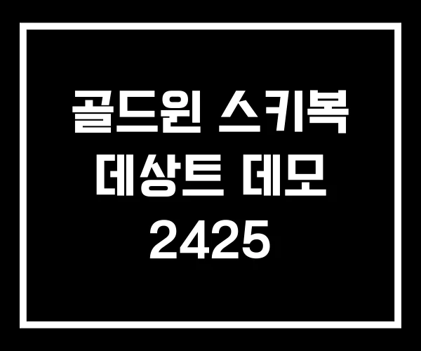 골드윈 스키복 데상트 데모 2425