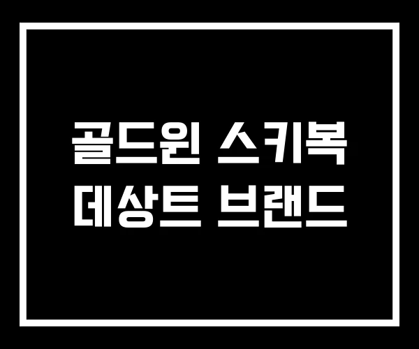 골드윈 스키복 데상트 브랜드