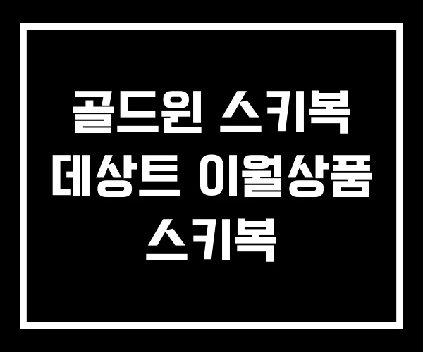 골드윈 스키복 데상트 이월상품 스키복