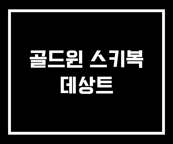 골드윈 스키복 데상트