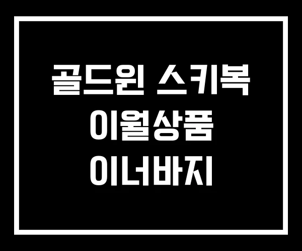 골드윈 스키복 이월상품 이너바지