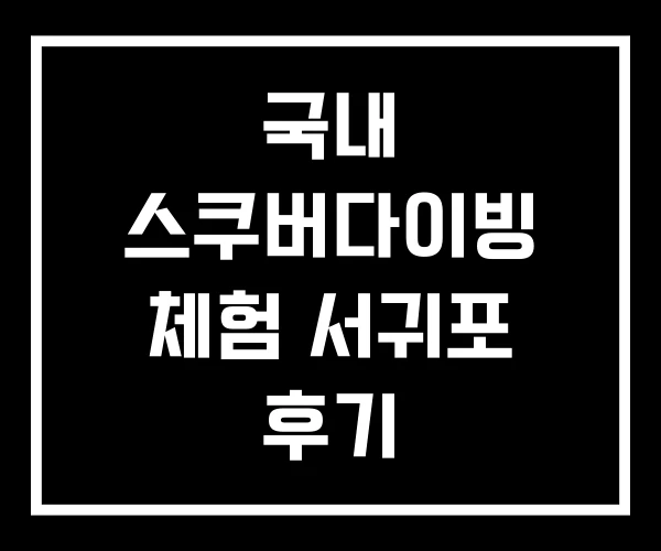 국내 스쿠버다이빙 체험 서귀포 후기