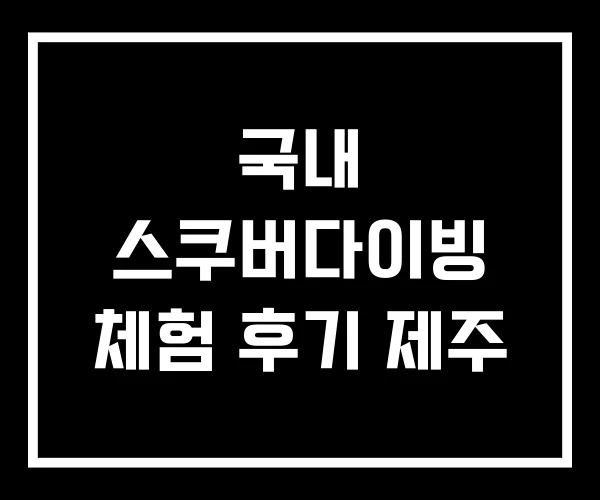 국내 스쿠버다이빙 체험 후기 제주 국내 스쿠버다이빙 체험 후기 제주