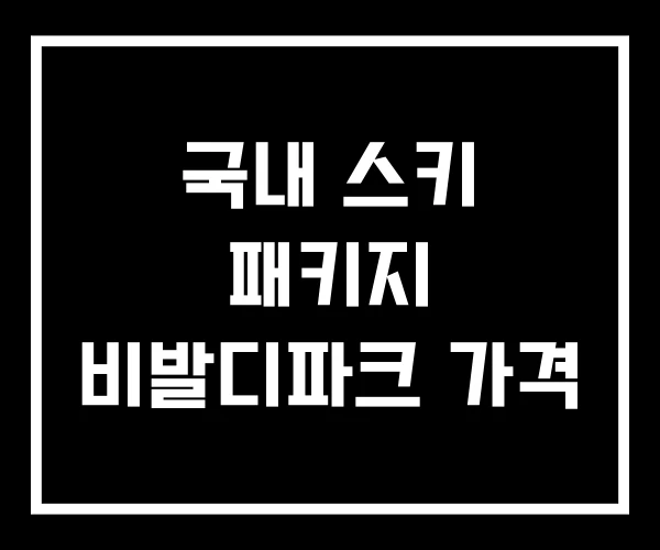 국내 스키 패키지 비발디파크 가격