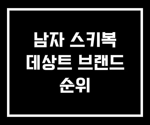 남자 스키복 데상트 브랜드 순위