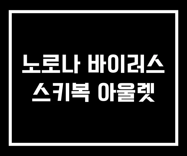 노로나 바이러스 스키복 아울렛