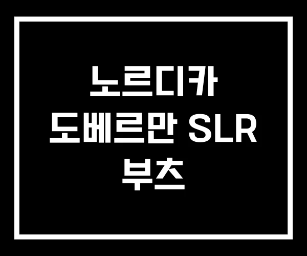 노르디카 도베르만 SLR 부츠