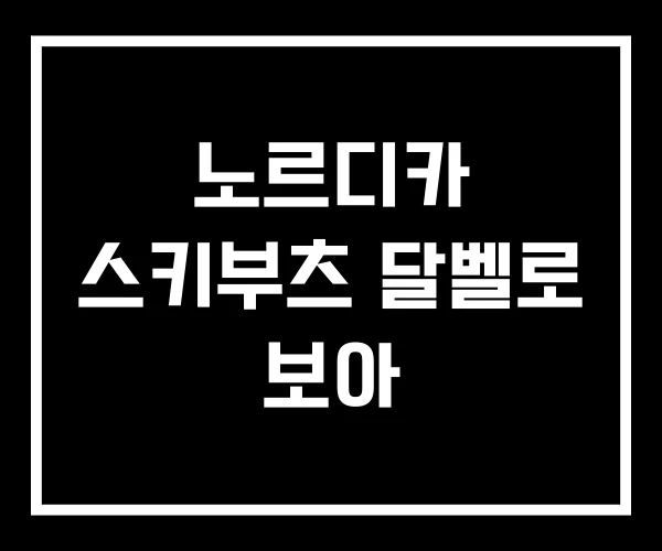 노르디카 스키부츠 달벨로 보아