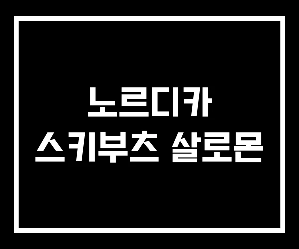 노르디카 스키부츠 살로몬