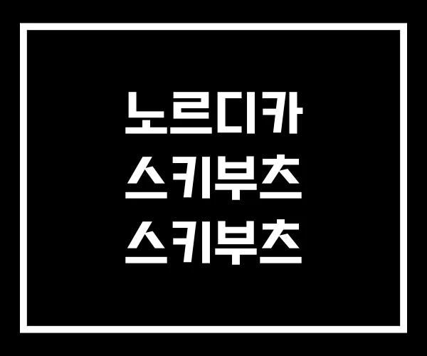 노르디카 스키부츠 스키부츠