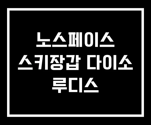 노스페이스 스키장갑 다이소 루디스