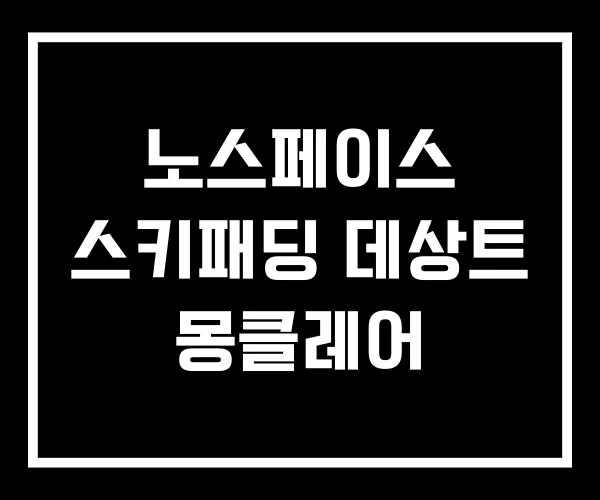 노스페이스 스키패딩 데상트 몽클레어