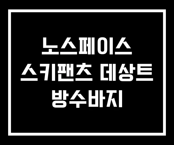 노스페이스 스키팬츠 데상트 방수바지