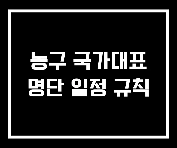 농구 국가대표 명단 일정 규칙