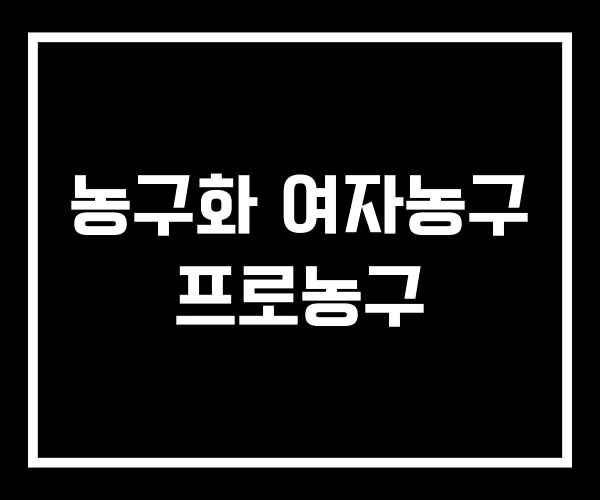 농구화 여자농구 프로농구 농구화 여자농구 프로농구