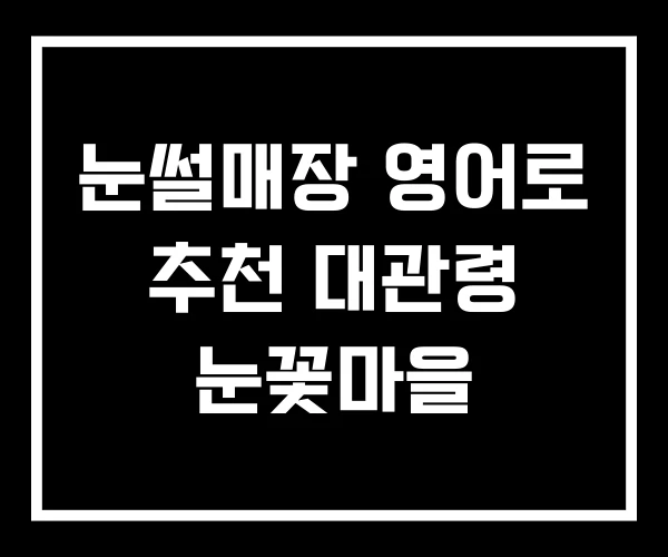 눈썰매장 영어로 추천 대관령 눈꽃마을