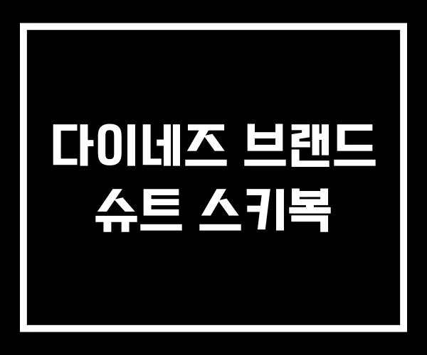 다이네즈 브랜드 슈트 스키복