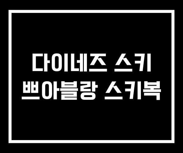 다이네즈 스키 쁘아블랑 스키복