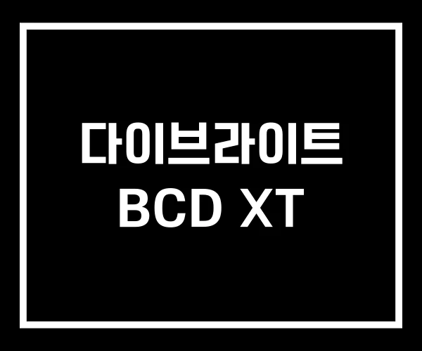 다이브라이트 BCD XT