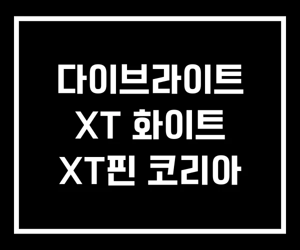 다이브라이트 XT 화이트 XT핀 코리아