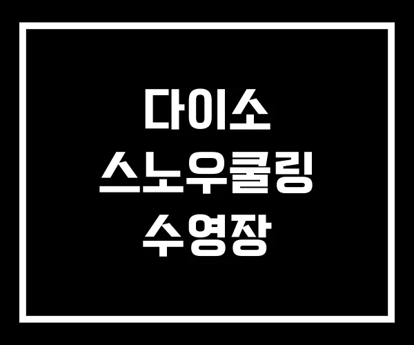 다이소 스노우쿨링 수영장 다이소 스노우쿨링 수영장