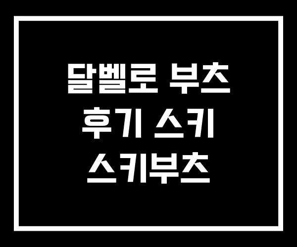 달벨로 부츠 후기 스키 스키부츠