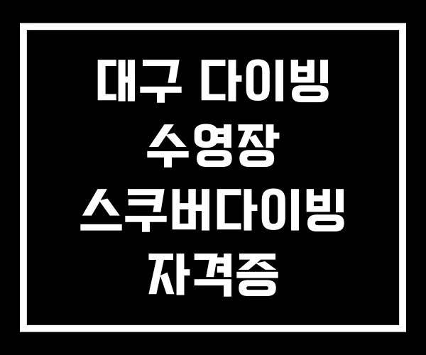 대구 다이빙 수영장 스쿠버다이빙 자격증