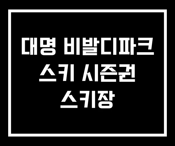 대명 비발디파크 스키 시즌권 스키장