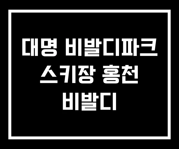 대명 비발디파크 스키장 홍천 비발디