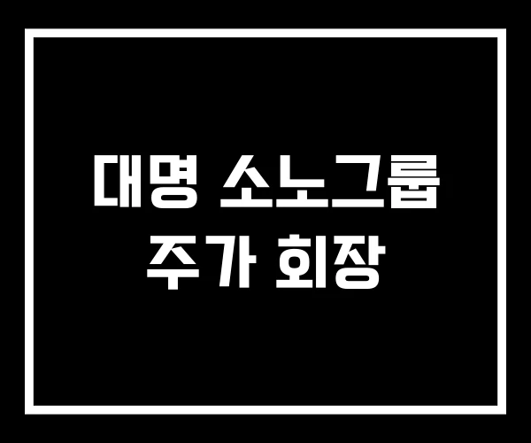 대명 소노그룹 주가 회장 대명 소노그룹 주가 회장